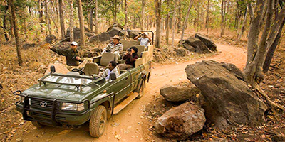 Wildlife Safari
